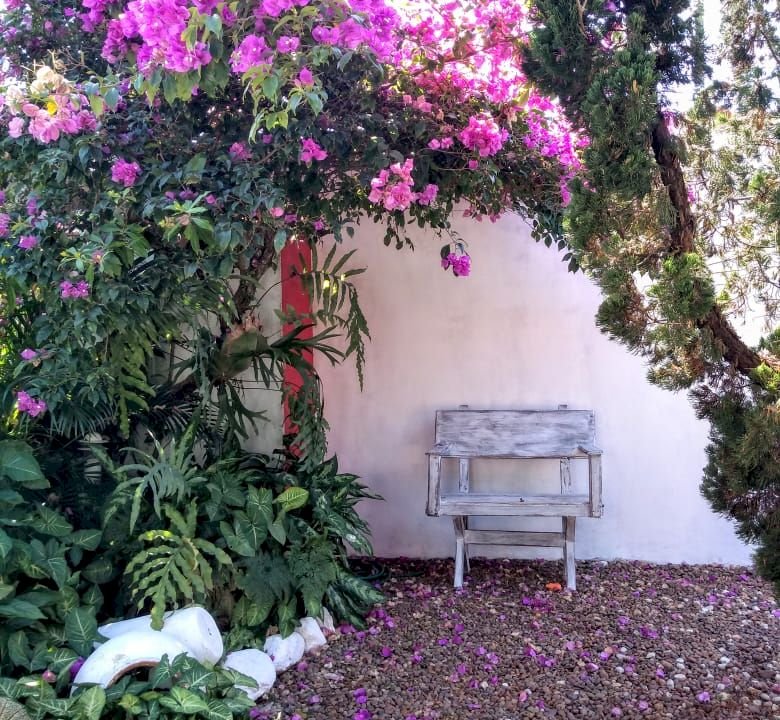 Imagem imóvel casa no Gaivota